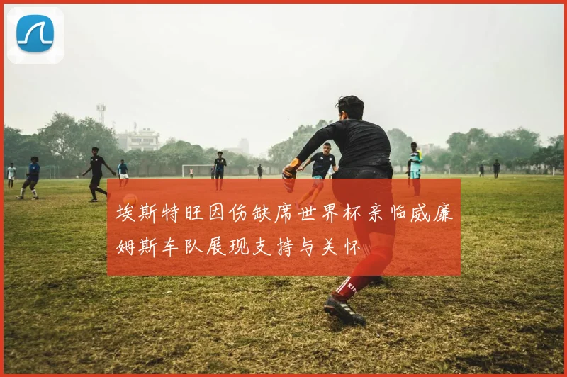 埃斯特旺因伤缺席世界杯亲临威廉姆斯车队展现支持与关怀