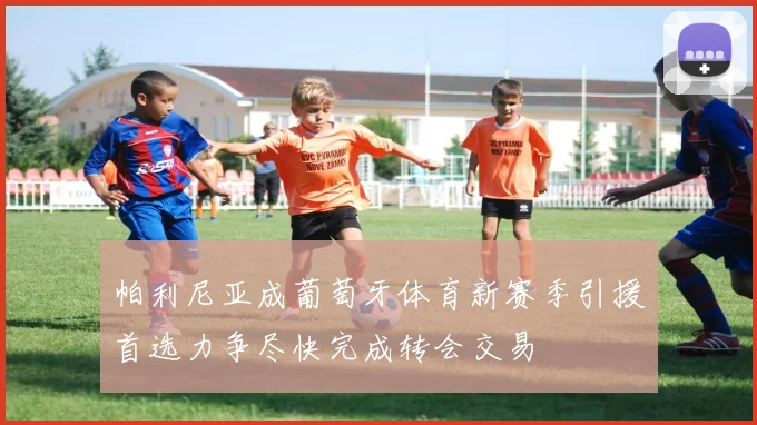帕利尼亚成葡萄牙体育新赛季引援首选力争尽快完成转会交易