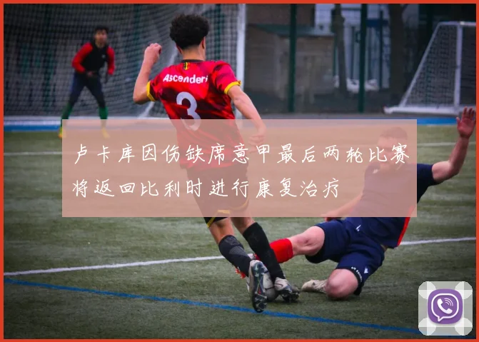 卢卡库因伤缺席意甲最后两轮比赛将返回比利时进行康复治疗