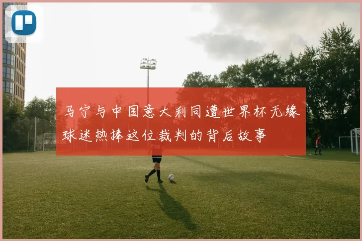 马宁与中国意大利同遭世界杯无缘球迷热捧这位裁判的背后故事